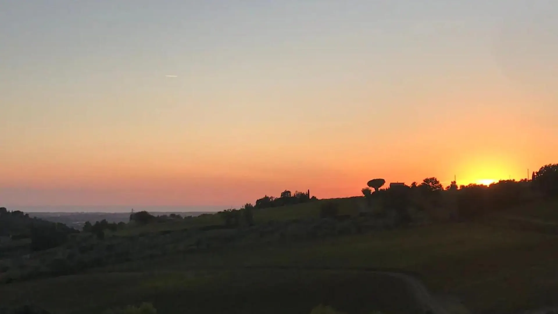 Podere Terraviva - Apt Mimosa Riparbella 0*,  Italy