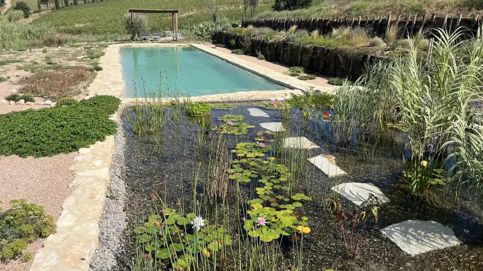 Podere Terraviva - Apt Mimosa Riparbella